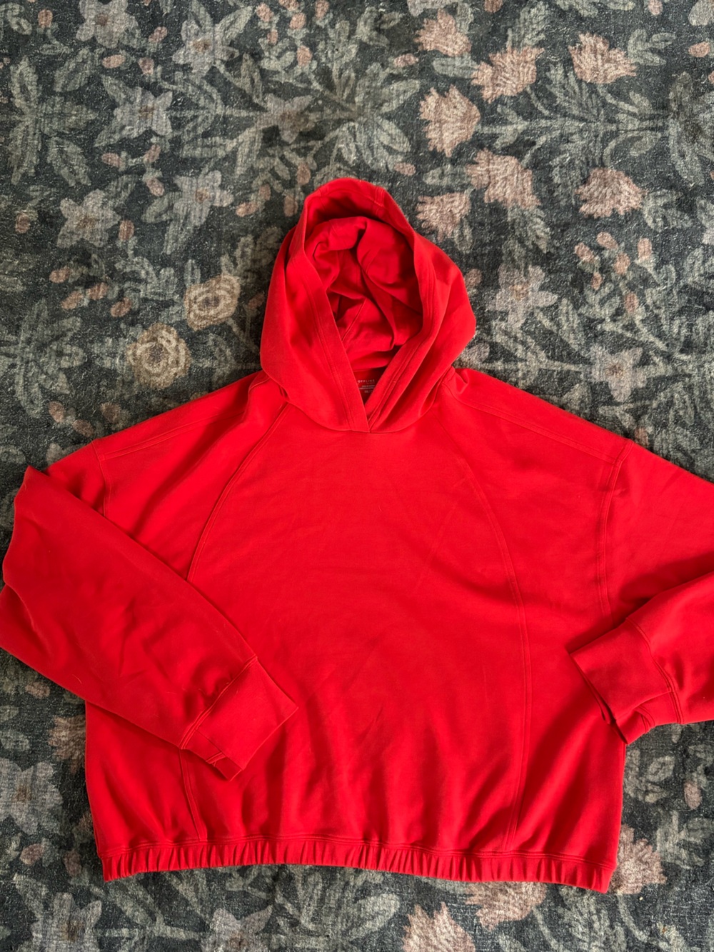 Offline by Aerie hoodie